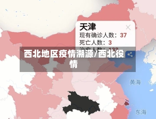 西北地区疫情溯源/西北役情
