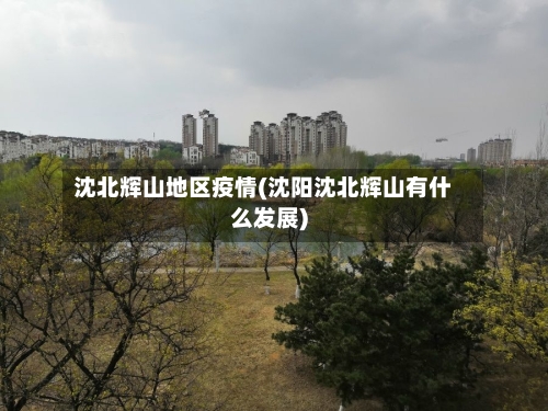 沈北辉山地区疫情(沈阳沈北辉山有什么发展)-第3张图片